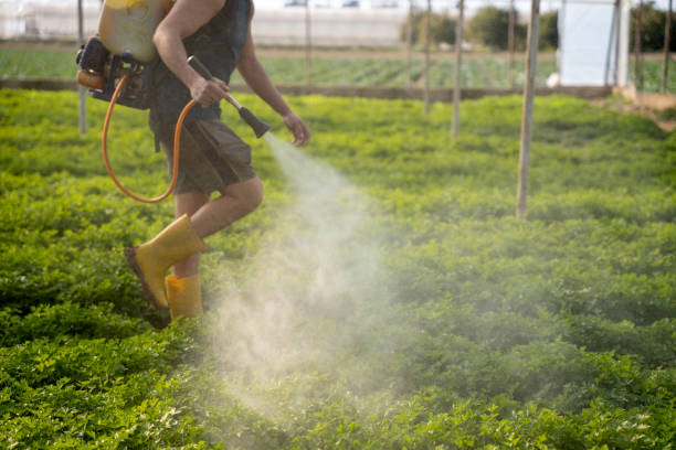 Best Pest Prevention Services  in Palisade, CO