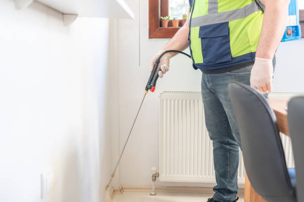Best Cockroach Control Services  in Palisade, CO
