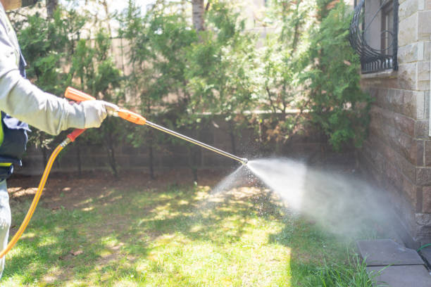 Reliable Palisade, CO Pest Control Solutions