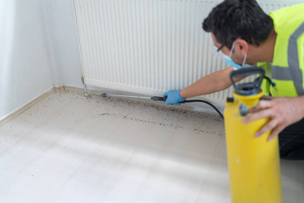 Best Best Pest Control Companies  in Palisade, CO